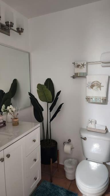 Fall In Love To Endless Summer. Charm And Private Apartment Loiza Ngoại thất bức ảnh