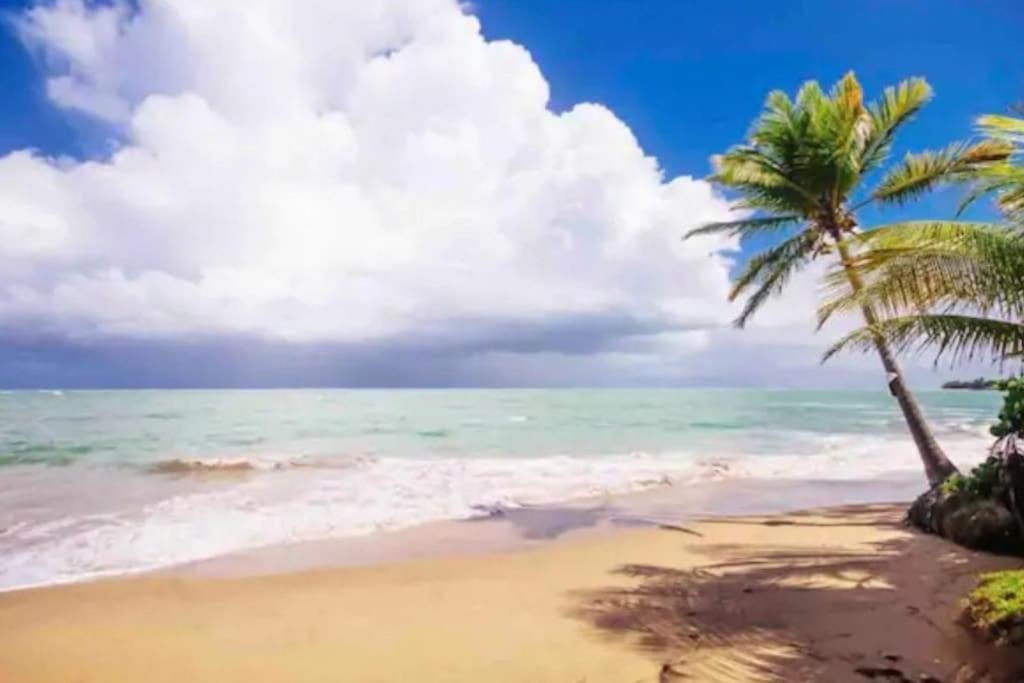 Fall In Love To Endless Summer. Charm And Private Apartment Loiza Ngoại thất bức ảnh