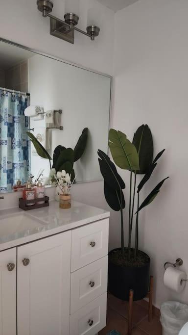 Fall In Love To Endless Summer. Charm And Private Apartment Loiza Ngoại thất bức ảnh