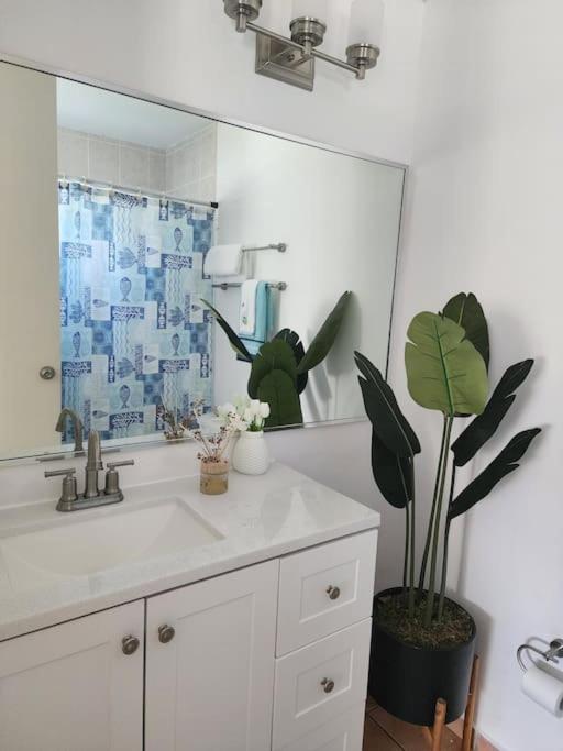 Fall In Love To Endless Summer. Charm And Private Apartment Loiza Ngoại thất bức ảnh