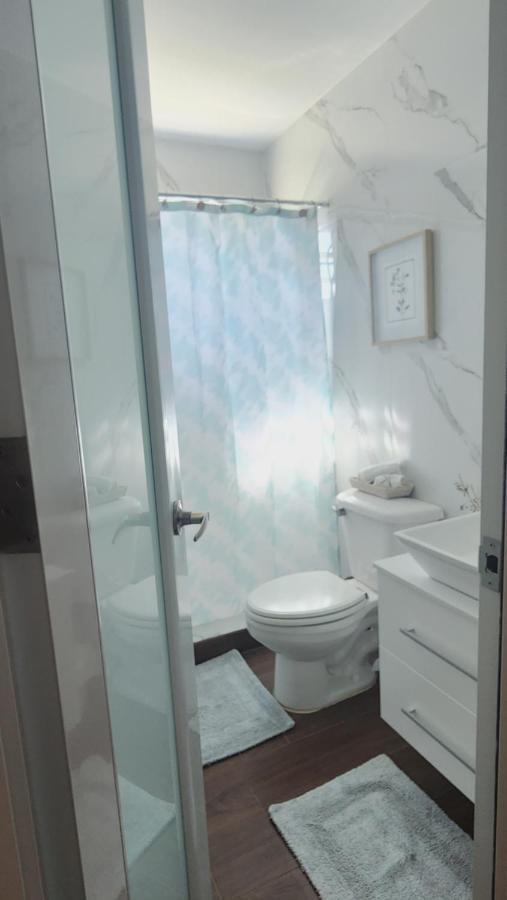 Fall In Love To Endless Summer. Charm And Private Apartment Loiza Ngoại thất bức ảnh